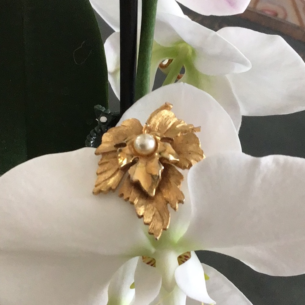 Brooch - Picture 2 of 7